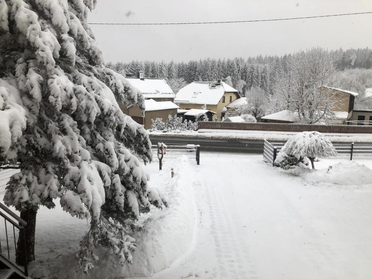 Ferienwohnung Zur Geigenbachtalsperre Poppengrun Exterior foto